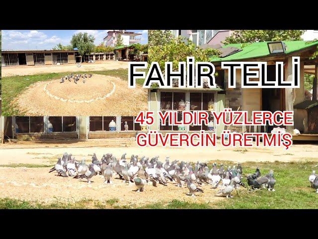 FAHİR TELLİYİ ZİYARET ETTİM KİMSENİN GİDEMEDİĞİ YERDEYİZ.GUVERCİN DÜNYASI RESMEN