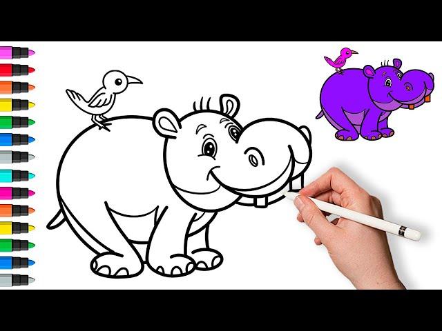 How to draw a hippo  Painting and Coloring for Kids & Toddlers