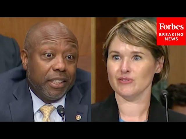 ‘You Take Out A Loan, You Pay It Back’: Tim Scott & Witness Shred Biden’s Student Debt ‘Debacle’