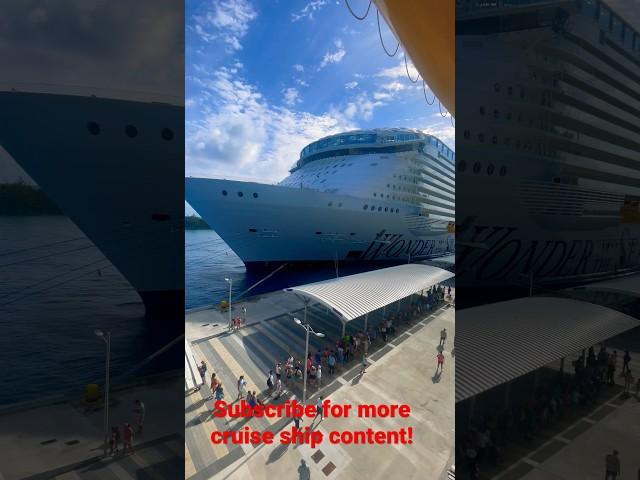 Wonder of the seas is massive! #viral #shortvideo #viralvideo #shorts #short #youtubeshorts #fyp