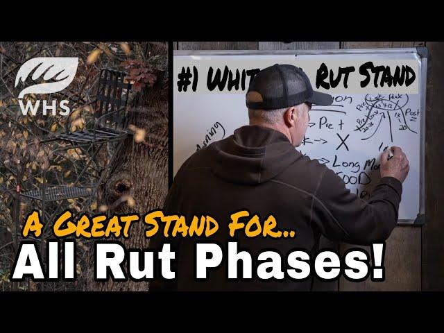 Choosing A Great Whitetail Rut Stand