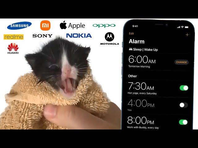 Kitten Meows but mobile alarms