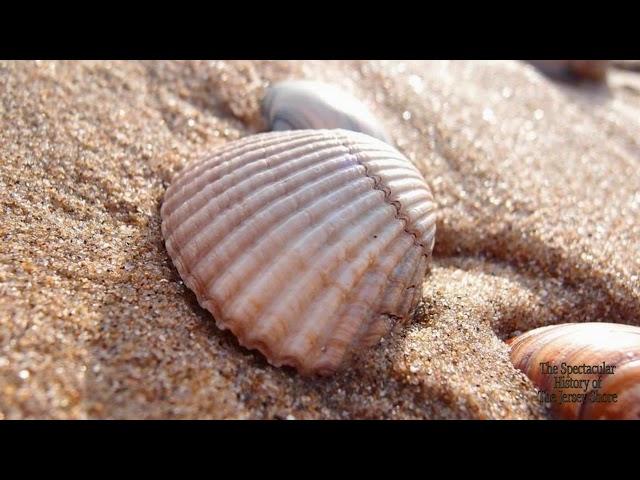 The First Visitors [Part 1 - The Spectacular History of the New Jersey Shore]