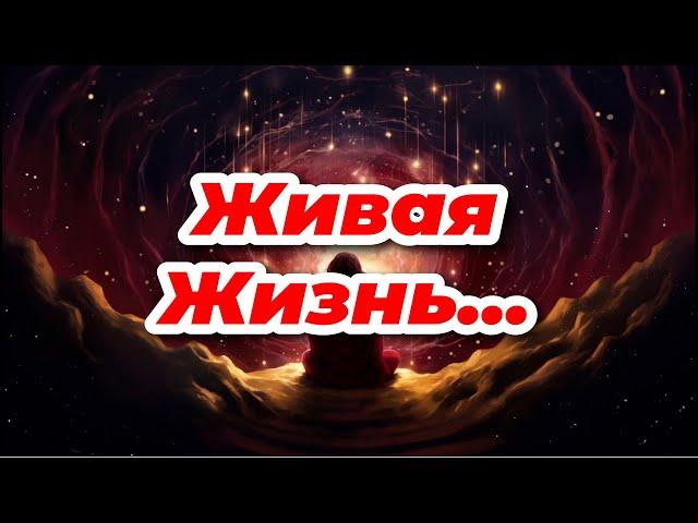 Как Жить Здесь и Сейчас | самая лучшая практика Присутствия