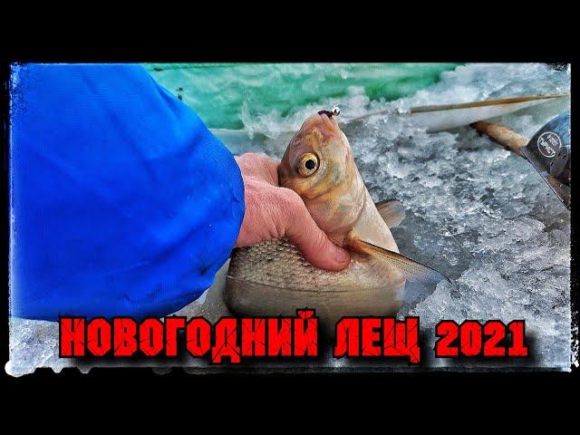 Безумная Ловля Леща на реке Тобол. Клюет подряд! Поймал 123 штуки!!!