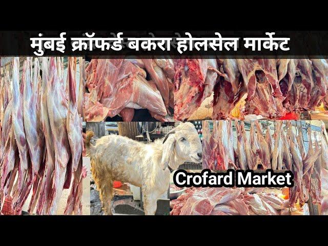 Mumbai Crofard Wholesale Bakara Market | Wholesale Bakara market in Mumbai | बकरा मार्केट होलसेल