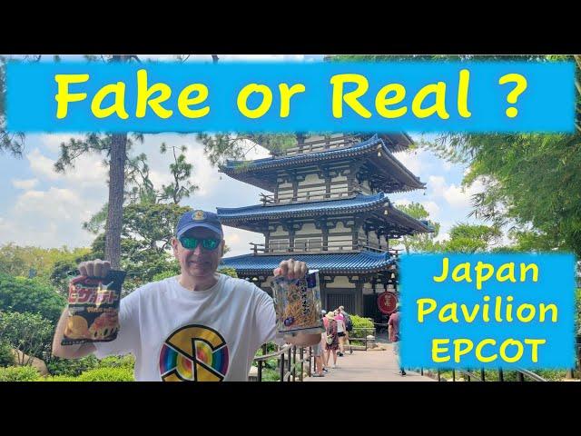 Fake or Real - Japan Pavilion EPCOT