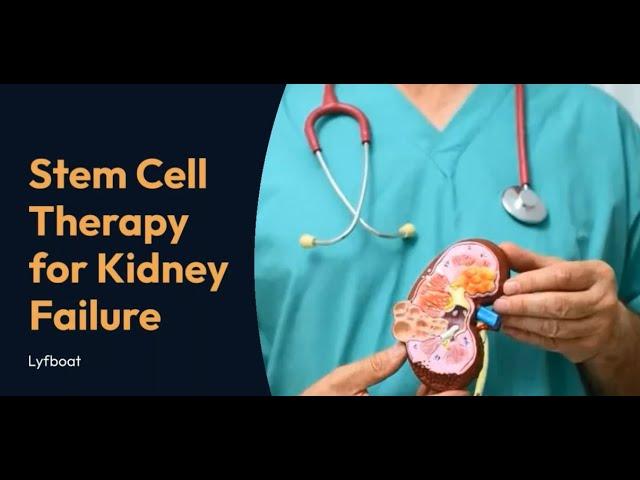 Stem Cell Therapy for Kidney Failure | Stem Cell Therapy for Kidney Disease in India