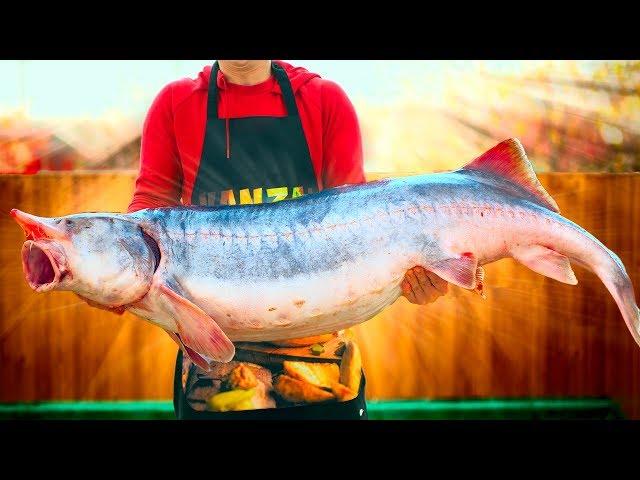 WE PREPARED A HUGE BELUGA WEIGHING 32 KILOGRAMS