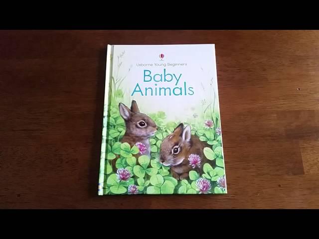 Baby Animals: Usborne Books & More