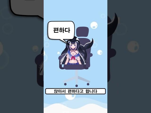샤이릴리 TMI 10가지 6