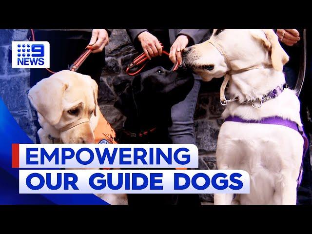 New heartwarming film aiming to stop assistance dog discrimination | 9 News Australia