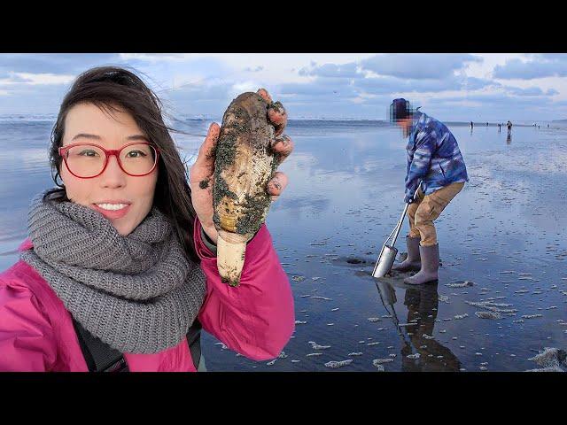 DIGGING RAZOR CLAMS and Cooking Them! COASTAL FORAGING