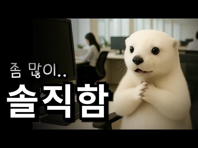 자신감을 얻게 되는 과정