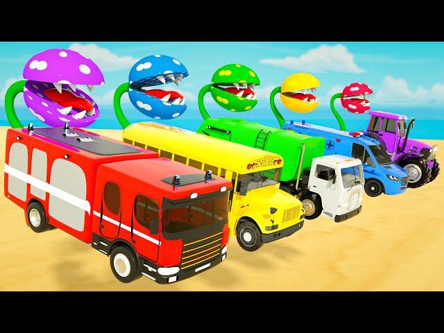 Head Shoulders Knees Song + Wheels on the Bus | Car Eating Plants | Baby Nursery Rhymes & Kids Songs