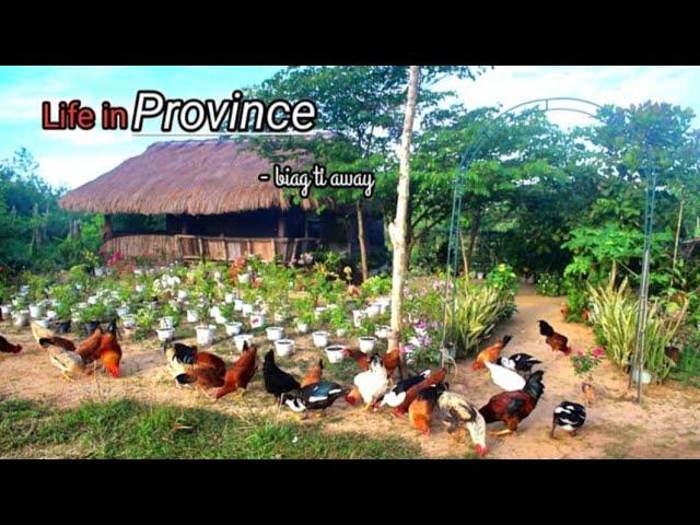 FILIPINO BREAKFAST | Simpleng buhay sa probinsya | Biag ti Away by Balong