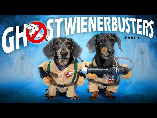 Ep #4: GHOSTWIENERBUSTERS - (Funny, & Spooky Dog Video for Halloween!)