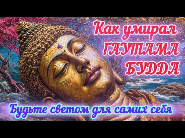 Последние наставления Гаутамы Будды #буддизм #мудрость #мудрыемысли #осознанность #нирвана #вера