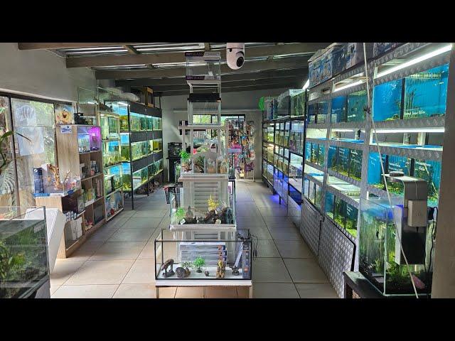 Fish Store Tour - Fantasea Aquarium and Pet