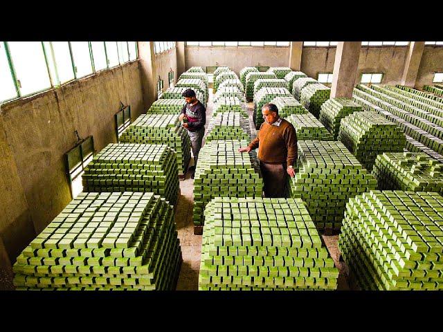 How to Produce Millions of Olive Soap Bar in Traditional Soap Factory - Olive Harvest and Processing