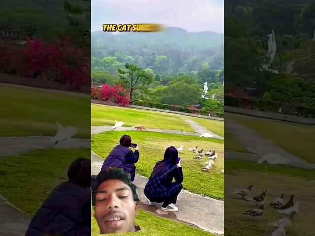 short#video #youtube Vishal Chauhan 1k pahla block video Vishal Chauhan ka id subscribe kijiye