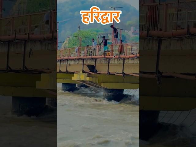 Haridwar#haridwar #uttarakhand #shorts #youtubeshorts #ganga #rishikesh #jump #swimming #viral