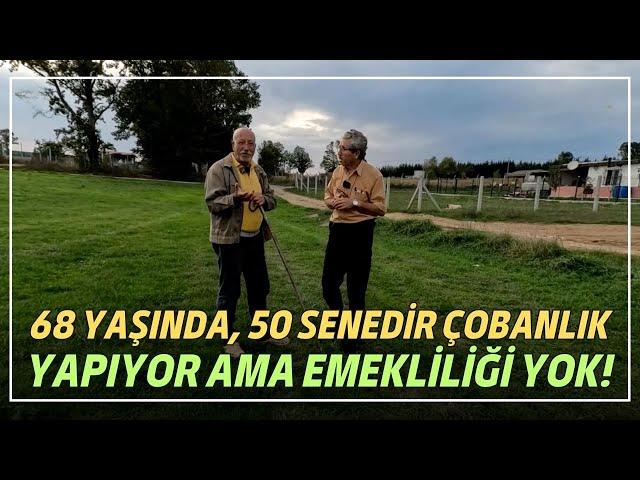 68 Yaşında, 50 Senedir Çobanlık Yapıyor Ama Emekliliği Yok!