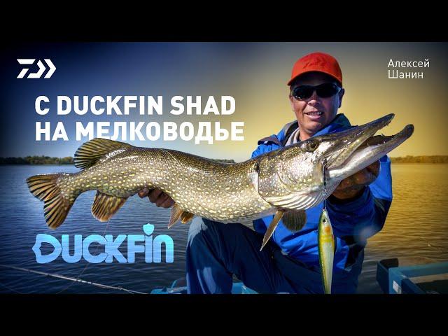 С DUCKFIN SHAD НА МЕЛКОВОДЬЕ x АЛЕКСЕЙ ШАНИН