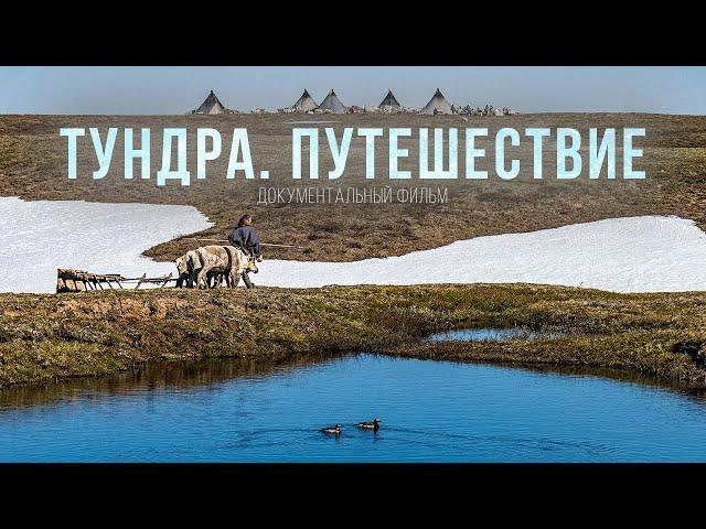 Tundra. The travel. A documentary film