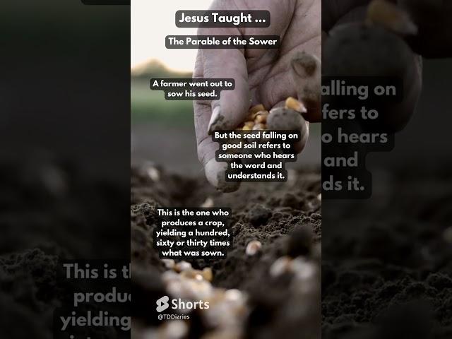 Jesus Taught   The Parable of The Sower ...  #jesus