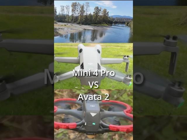 How to River Dive with drone: DJI Mini 4 Pro vs Avata 2! #dji #drone