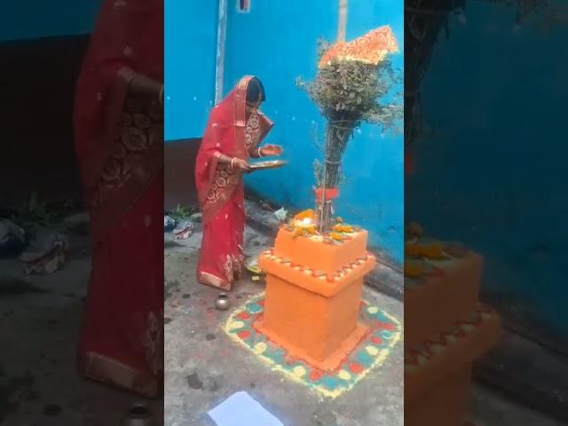 Tulsi Vivah puja 