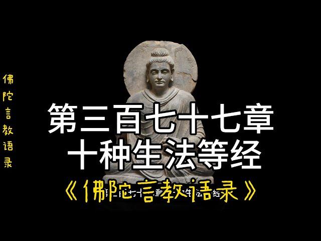 377.第三百七十七章 十种生法等经《佛陀言教语录》