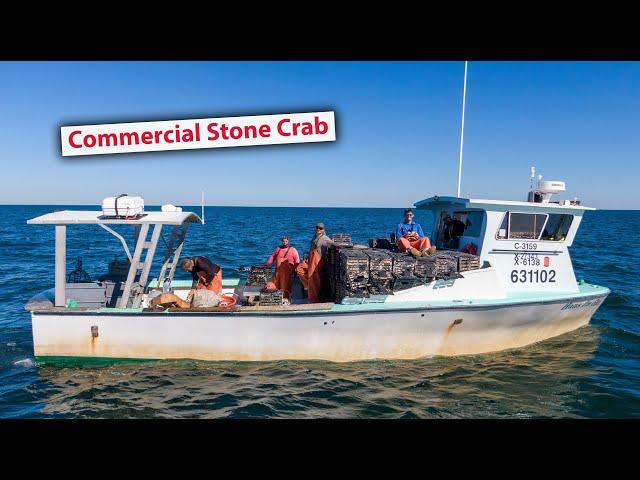 Inside A Million Dollar Stone Crab Operation