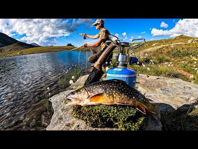 WILD Mountain Trout Fishing & SOLO Camping!!! (Catch & Cook)