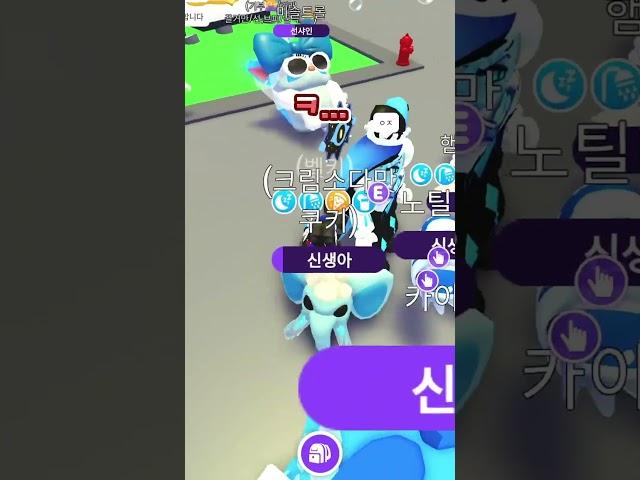 유기사랑 입양하세요중 사기당한썰ㅋㅋㅋㅋ