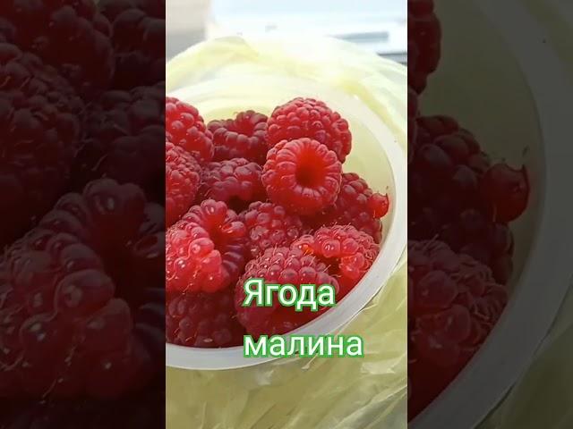 Малина в октябре#осеньоктябрь#ЕЛИЗАВЕТА#