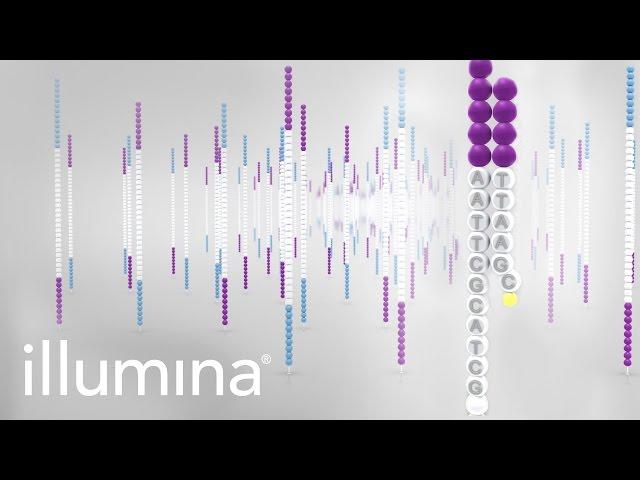 Overview of Illumina Sequencing by Synthesis Workflow | Standard SBS chemistry