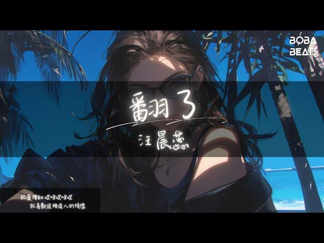 汪晨蕊 - 翻了『就請你 來呀來呀來 別總像一個愛玩的小孩』【Lyrics Video】