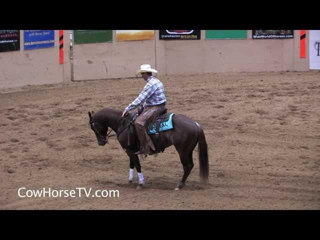 Luke Jones: Advice for New Cow Horse Trainers