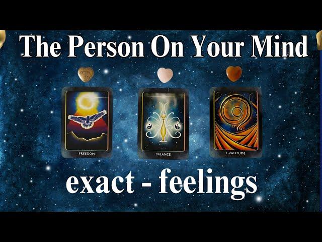 THE PERSON ON YOUR MIND (exact-feelings)   #timeless Tarot Psychic Reading! * Pick A Card *