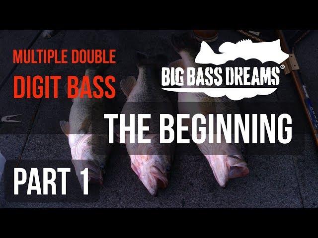 Swimbait Fishing - Big Bass Dreams The Beginning Part 1