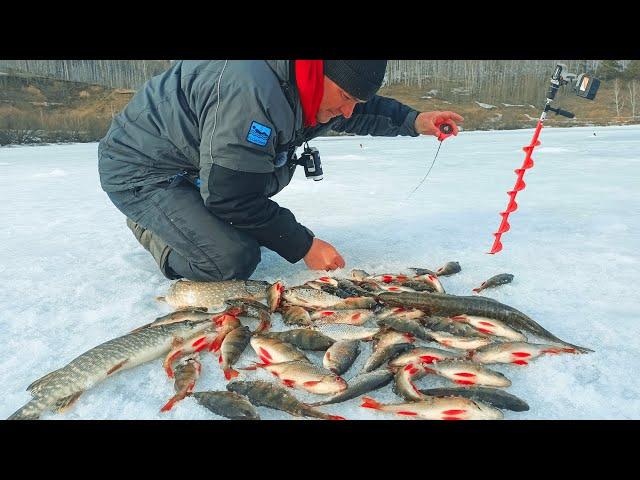 ТАКОЙ РАЗДАЧИ ЖДАЛ ВСЮ ЗИМУ!!! ЛУЧШАЯ РЫБАЛКА ПО ПОСЛЕДНЕМУ ЛЬДУ!!!