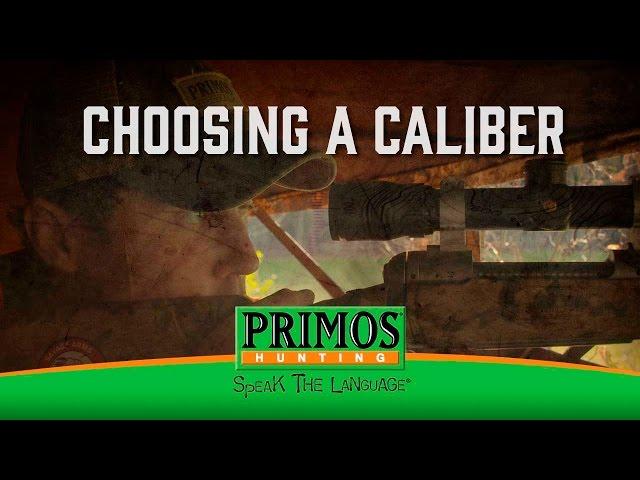 How to Pick a Rifle Caliber for Deer Hunting