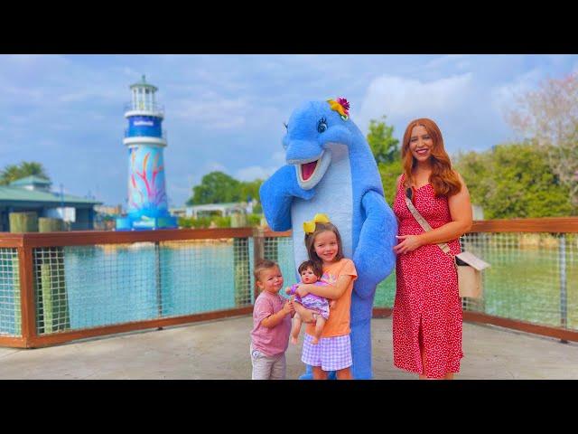 A Typical Day at SeaWorld for a Family with Small  Kids