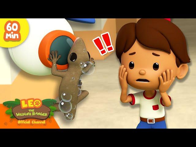 LIZARD HANGING FOR DEAR LIFE!!  | Leo Lizards Compilation | Leo the Wildlife Ranger | Kids Cartoon