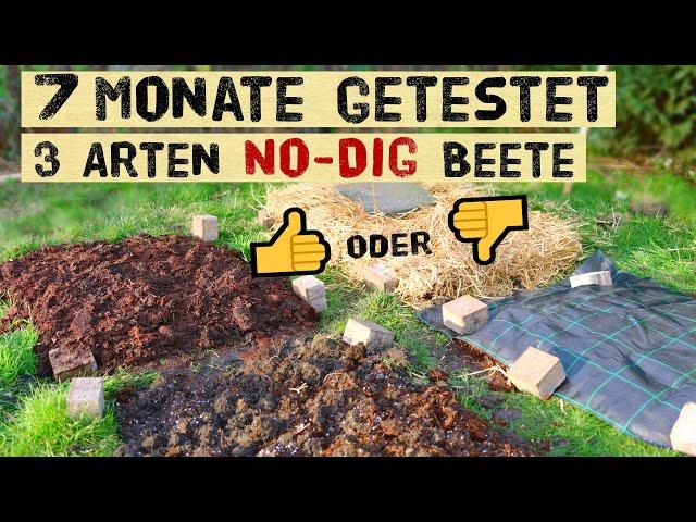 Experiment - No-Dig Beete nach 7 Monaten. Welche Methode erspart Arbeit und umgraben.