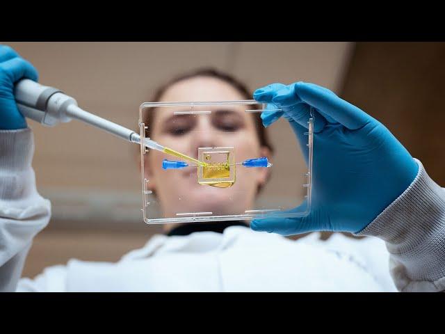 UBC Applied Science researchers lead $24 million project to treat spinal cord injury