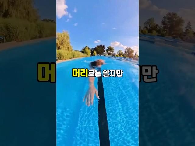 자유형 잘하고 싶다면 이거 1가지만 신경써주세요
