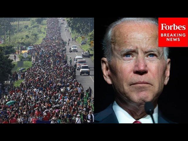 Biden Is 'The First President In The History Of This Nation' To Do This On Border: Tom Homan